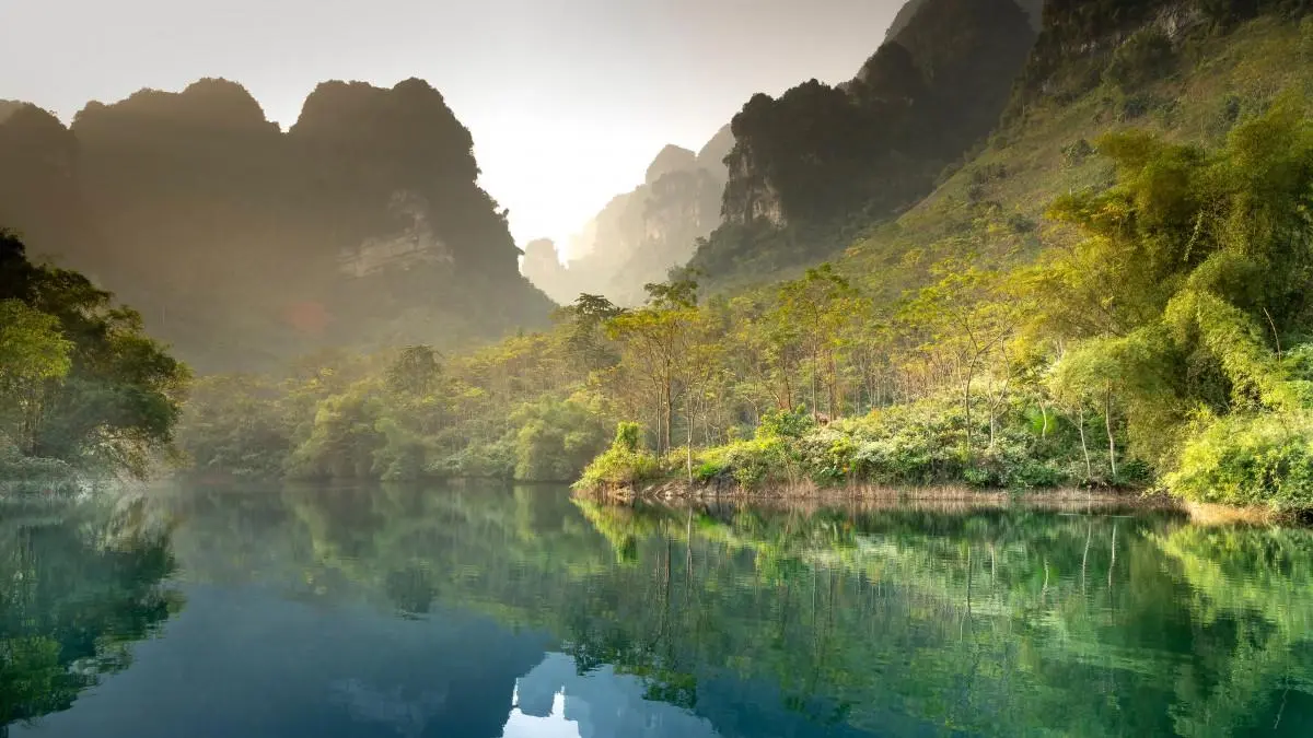 智能系统科技智能系统
